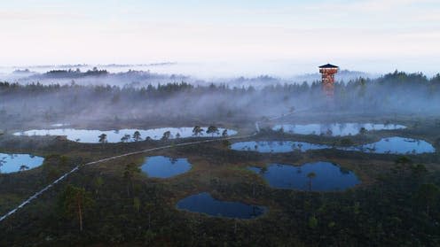 <span class="caption">Sunrise over a bog in Eastern Europe.</span> <span class="attribution"><a class="link " href="https://www.shutterstock.com/image-photo/aerial-view-beautiful-bog-estonian-nature-1798429729" rel="nofollow noopener" target="_blank" data-ylk="slk:Adamikarl/Shutterstock;elm:context_link;itc:0;sec:content-canvas">Adamikarl/Shutterstock</a></span>