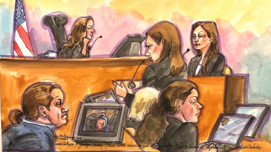 FBI Special Agent Stephanie Minor testifies on Nov. 13, 2023 about David DePape’s internet searches and Amazon purchases. (Courtroom sketch by Vicki Behringer)