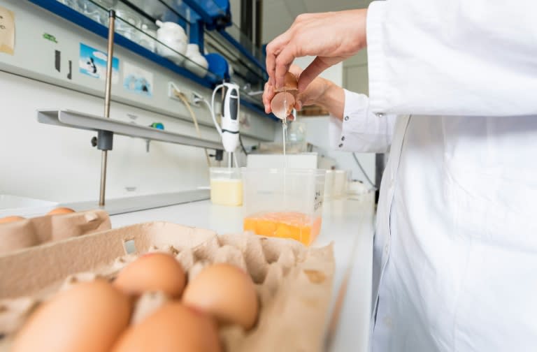 Fipronil, which can harm human health, has been discovered in eggs in 16 European countries since the scandal came to light on August 1