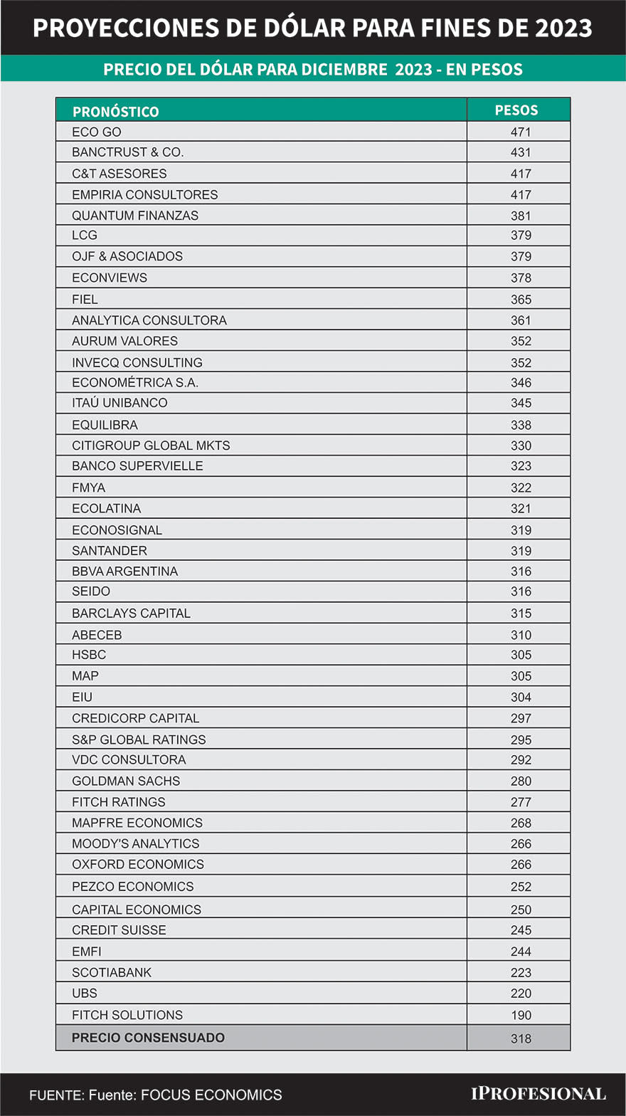 De acuerdo al último informe mundial de FocusEconomics, el tipo de cambio en Argentina será de $318 a fines de 2023.