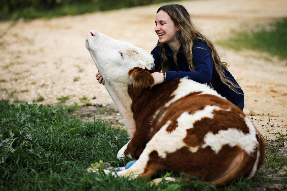 A volunteer hugs Nir, a cow fitted with prosthetic leg at "Freedom Farm", which serves as a refuge for mostly disabled animals in Moshav Olesh, Israel (Photo: Nir Elias/Reuters)