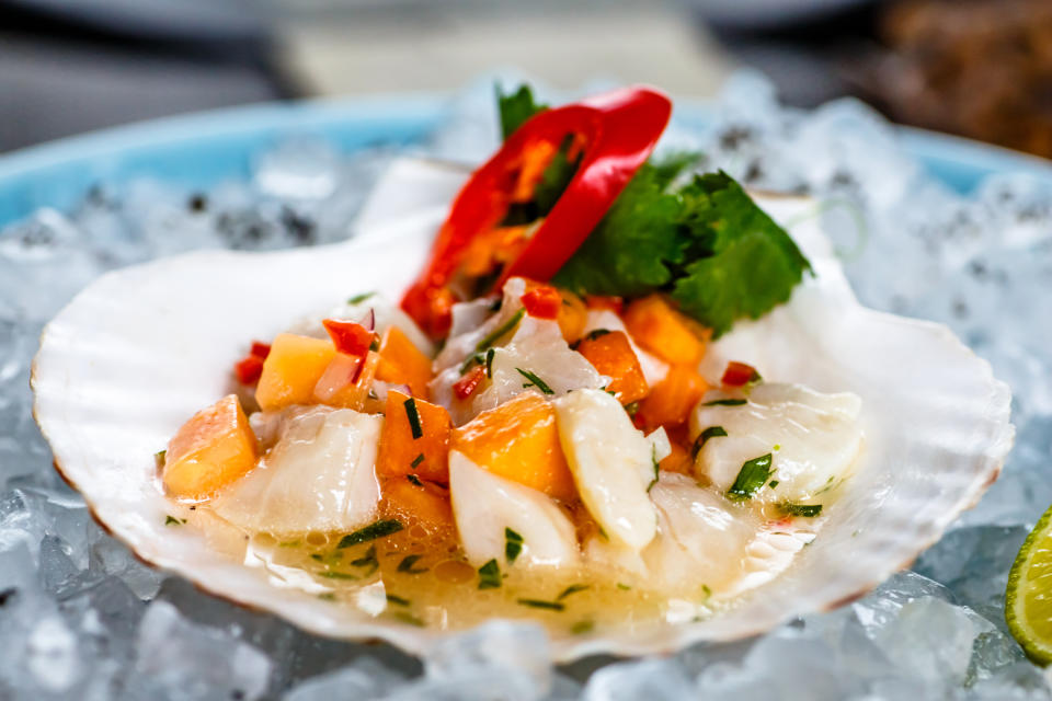 Ceviche of scallop and salmon in the sink from the scallop on ice