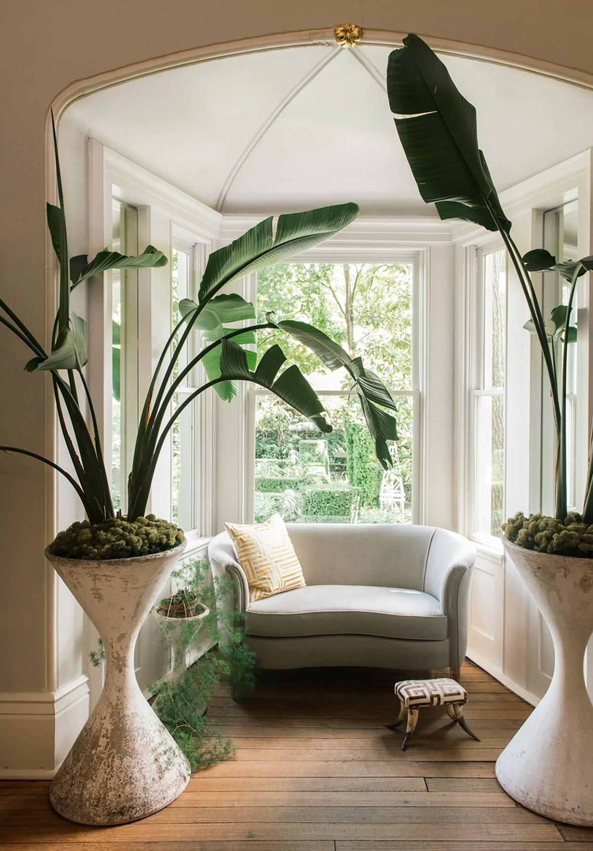 How To Get Biophilic Design At Home - Minty Magazine