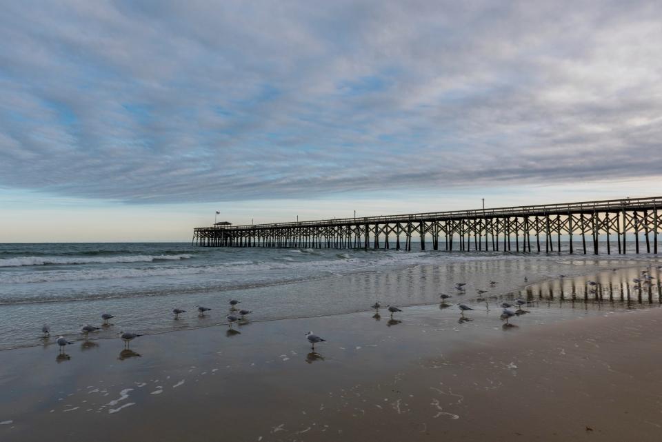 Shelling is a popular pastime on South Carolina's Pawleys Island.