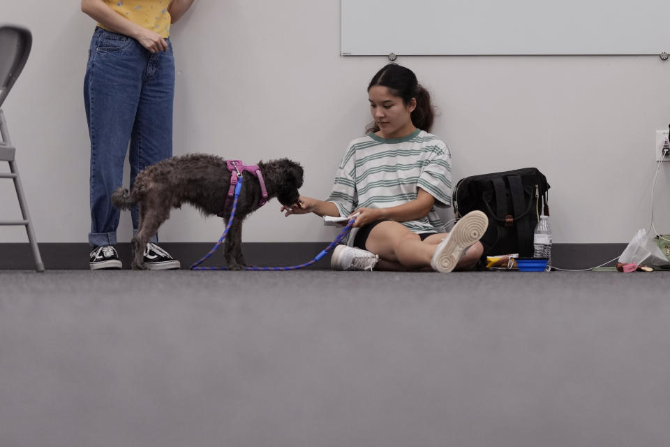 Houston resident Tiffany Guerra charges her cell phone and spends time with her dog Finn at a cooling station in Houston, Tuesday, July 9, 2024. The effects of Hurricane Beryl left most in the area without power. (AP Photo/Eric Gay)
