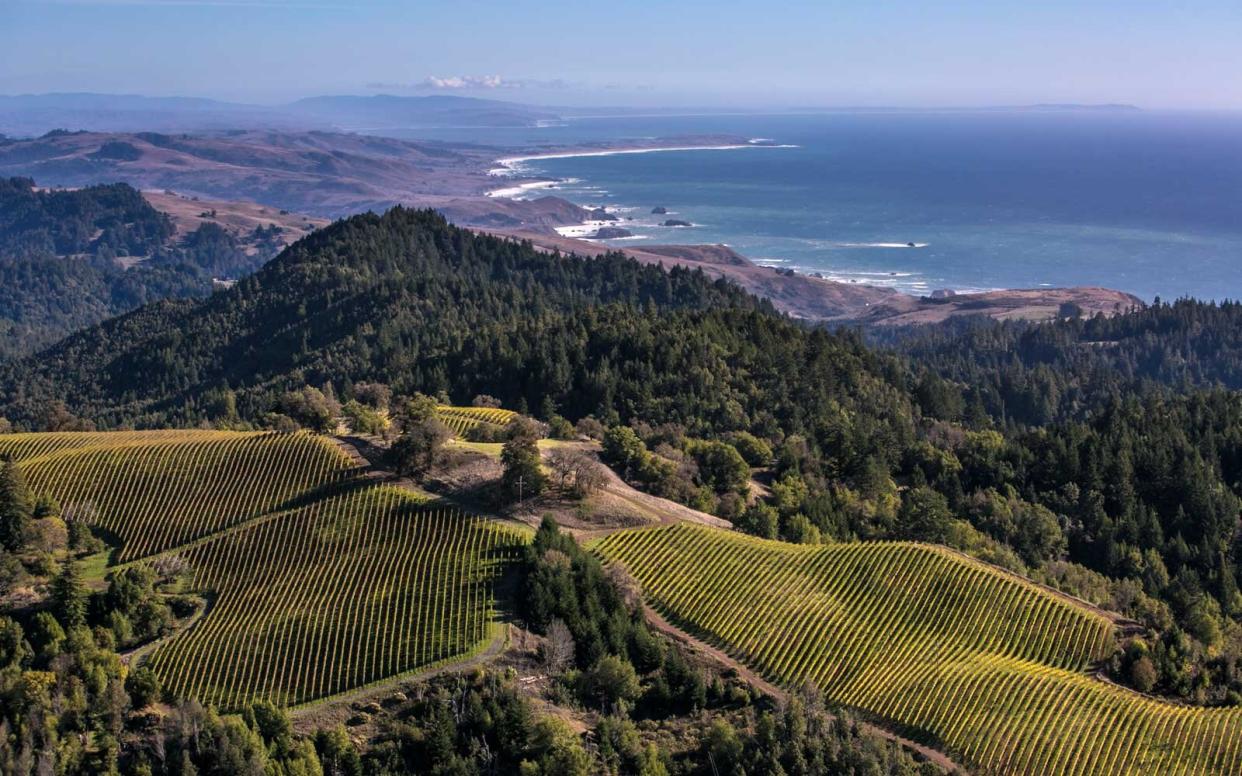 Fort Ross Vineyard &amp; Winery overlooks the Pacific Ocean near Jenner, California