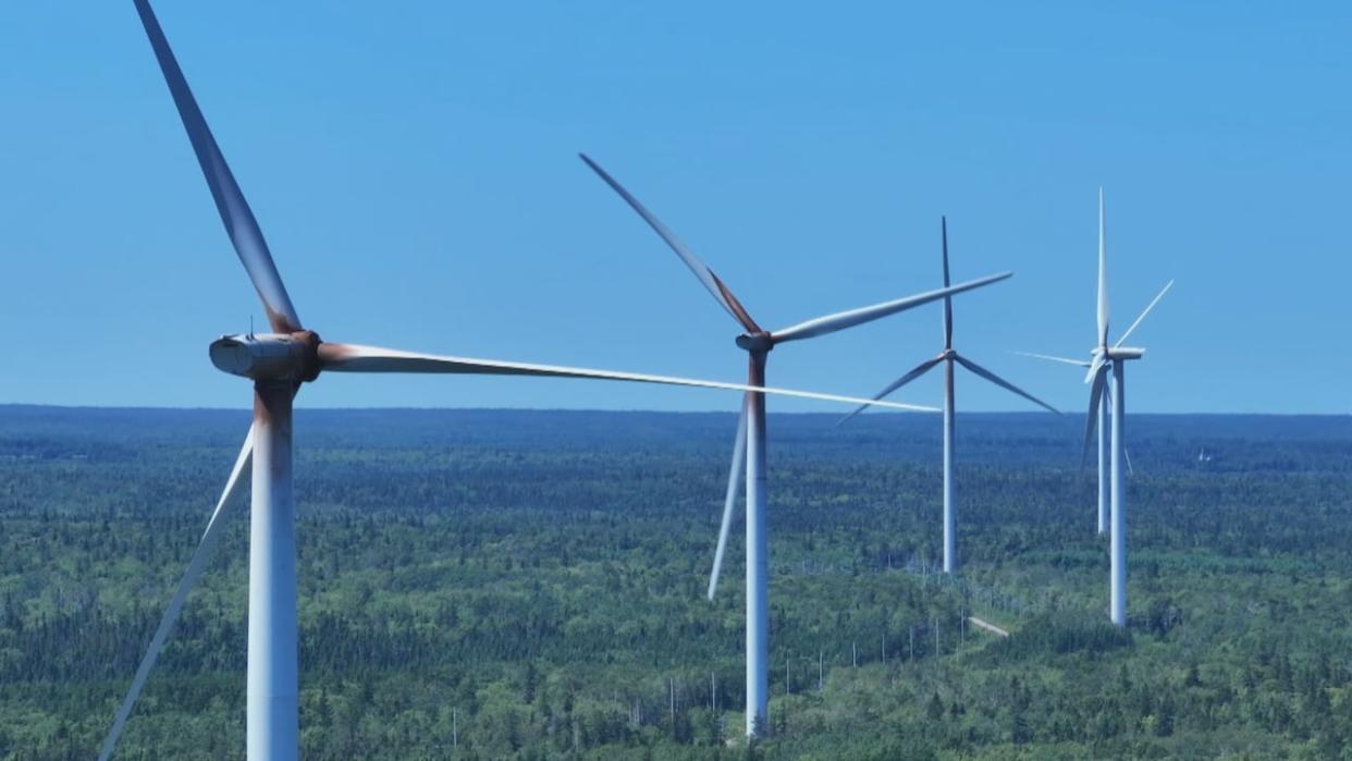 The tower for each turbine stands 92 metres tall. The diameter of the blades are 116 metres. (Shane Hennessey/CBC - image credit)