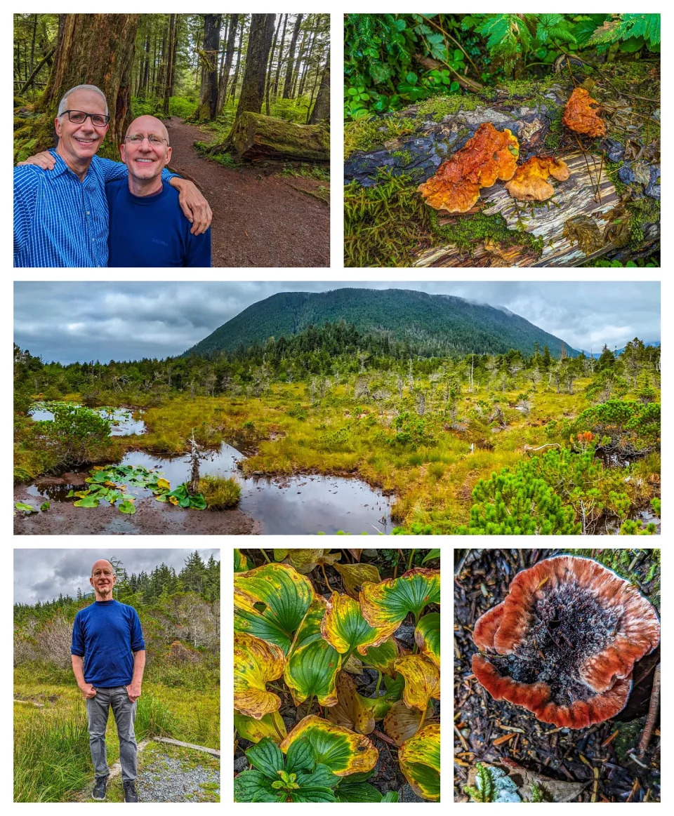 A collage showing Brent and Michael hiking, mushrooms growing on a log, Mt. Sitka, leaves, and more mushrooms.