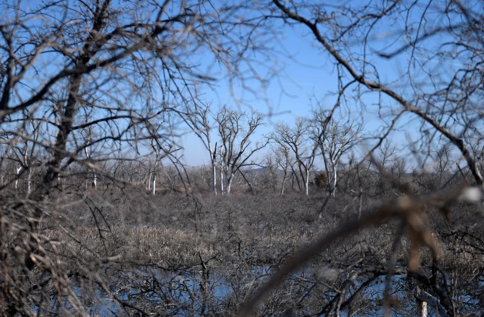 Damage is seen from the Smokehouse Creek Fire, Monday, March 4, 2024, in Canadian, Texas.