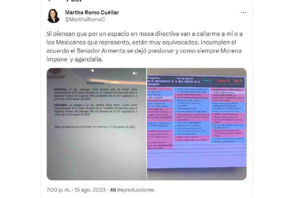 diputada martha romo pan