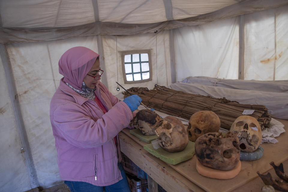 An archaeologist brushes ancient skulls for the media on display that Egyptian archaeologist Zahi Hawass and his team unearthed in a vast necropolis filled with burial shafts, coffins and mummies dating back to the New Kingdom 3000 BC, Sunday, Jan. 17, 2021, in Saqqara, south of Cairo, Egypt. (AP Photo/Nariman El-Mofty)