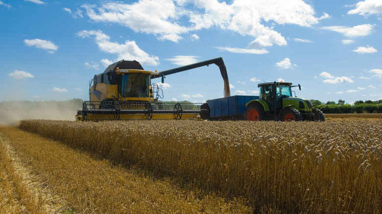 Wheat farming machinery