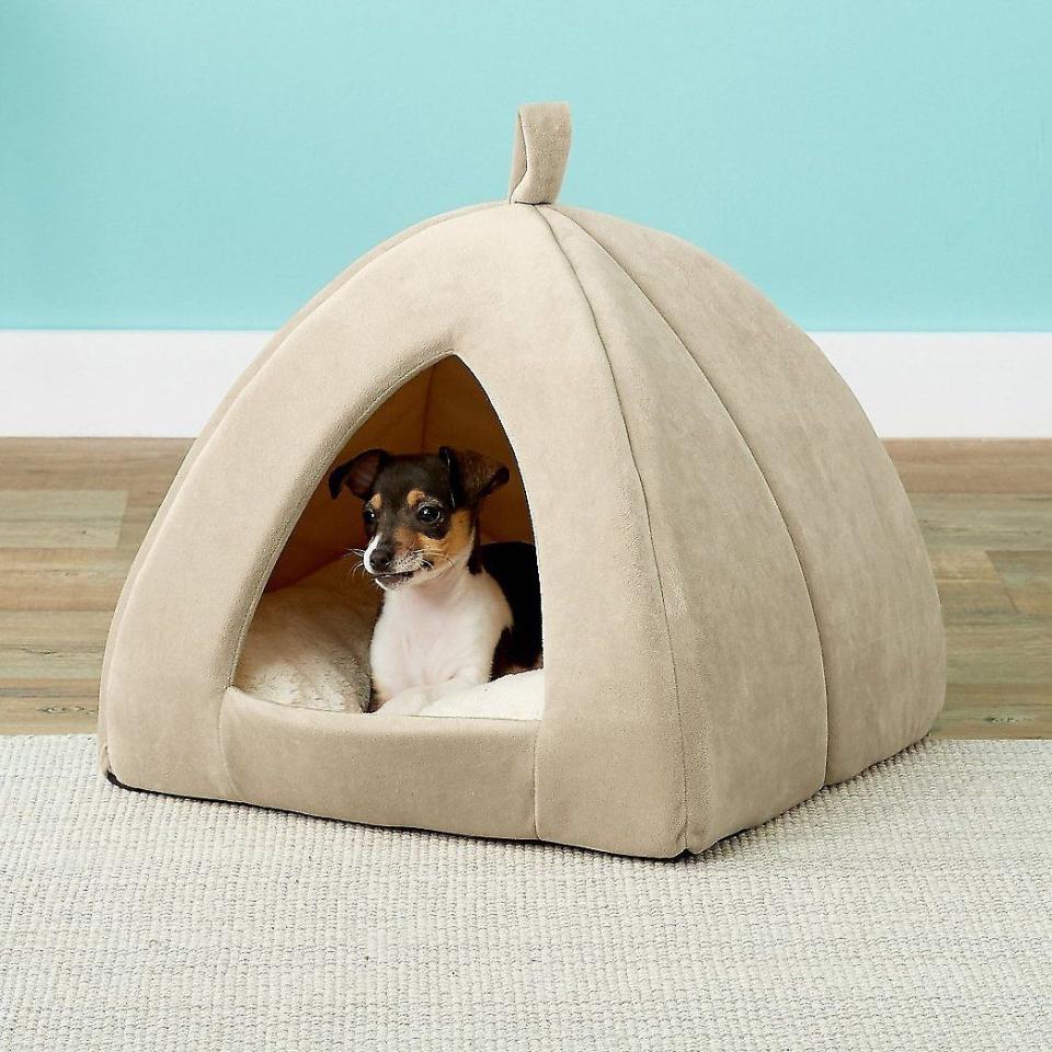 Tent Covered Cat & Dog Bed