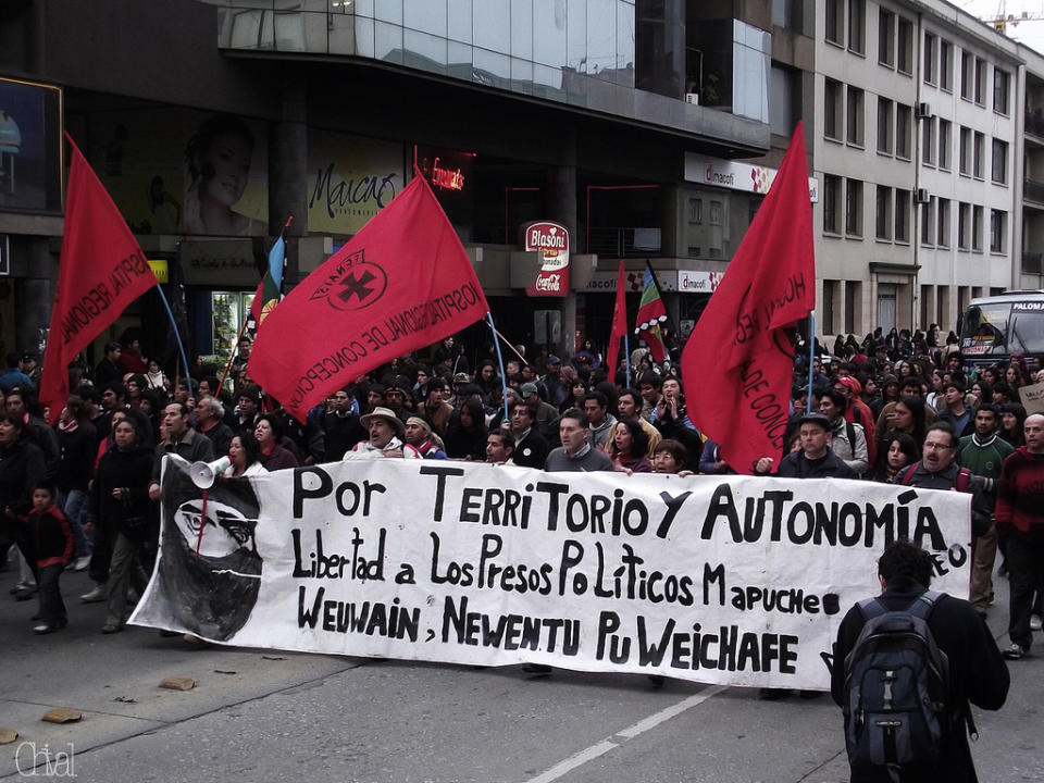 Los mapuches protestan contra las compañías forestales (Periódico Resumen - Flickr)