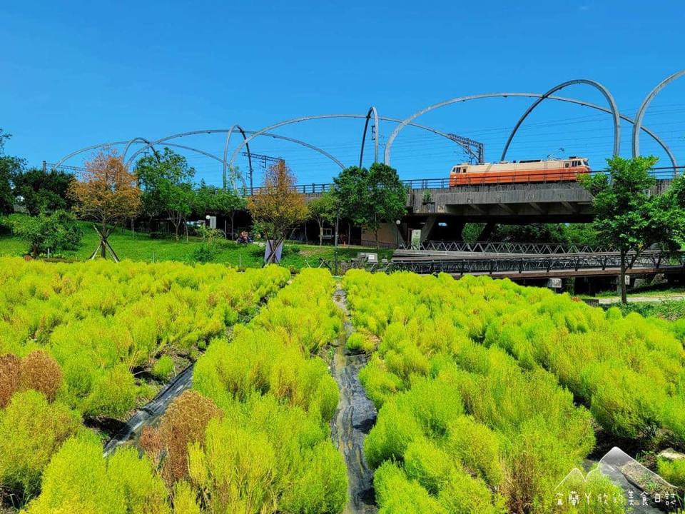 「Q版抹茶海」好療癒啊！3000株波波草現身宜蘭，加碼再拍「稻草捲心酥」（圖片來源：宜蘭ㄚ欣的美食日誌）