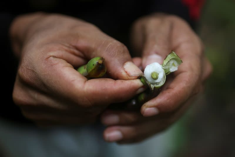 In Colombia, killing of environmentalists chills conservation efforts