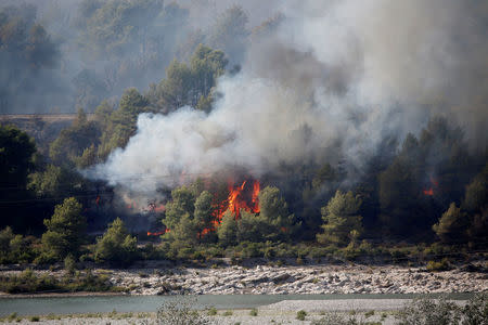 Smoke and flames from wildfire burn trees in woods near a river in Peyrolles, France, July 24, 2017. REUTERS/Jean-Paul Pelissier