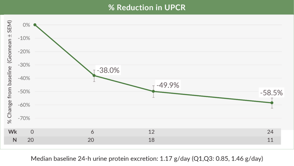 Treatment with atrasentan resulted in clinically meaningful reductions in proteinuria at weeks 6, 12 and 24 in patients with IgAN already on a maximally tolerated and stable dose of a RAS inhibitor