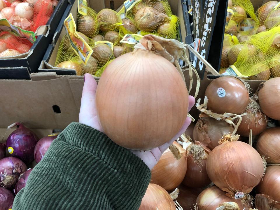 A hand holding a large white onion.