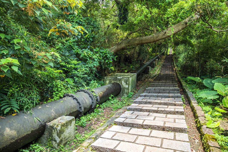 台北「天母古道親山步道」Source：台北旅遊網