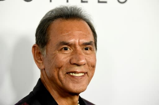 The Academy praised Wes Studi's activism and involvement in Native American politics in announcing that he would receive an honorary Oscar