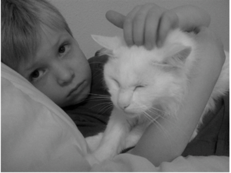 Cat and Boy