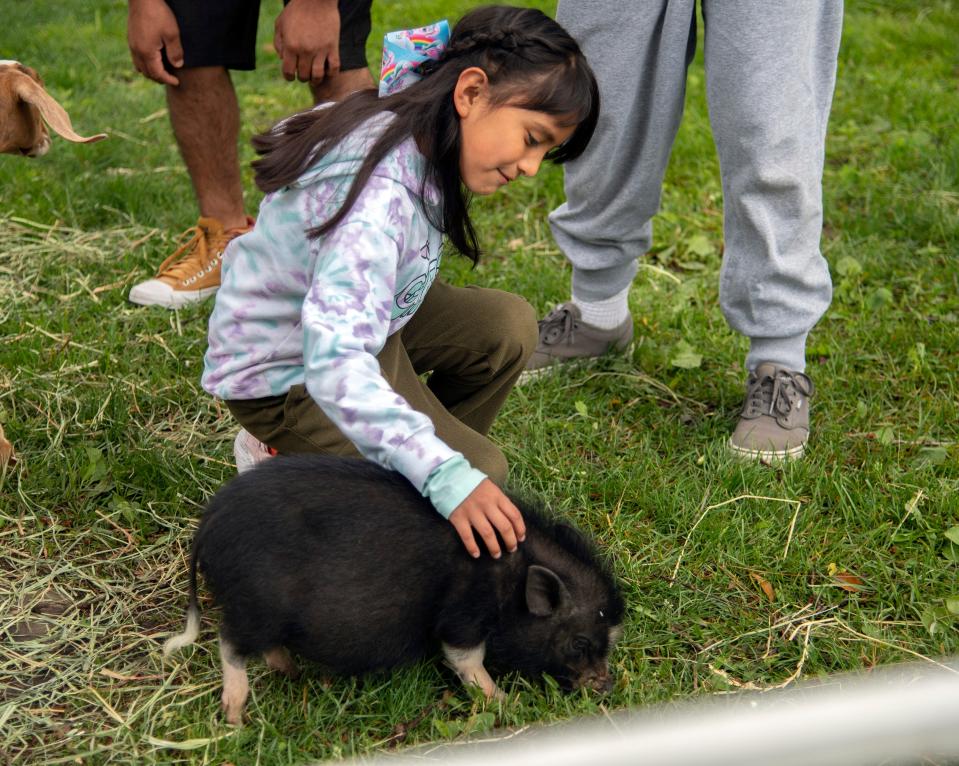 Josephine Castro, 8, pets a potbellied pig during the Pixie Woods children's amusement park's opening day and 69th birthday celebration in Stockton on Saturday, May 6, 2023, though the threat of rain kept the crowds small. In addition to the usual rides and attractions an animal petting zoo, face painting and birthday cake were also available on the first day of the season. Pixie Woods will be open Saturdays and Sundays only from May 6 through May 28; Thursdays through Sundays from June 1 through June 30; Saturdays and Sundays only from August 5 through October 28.
