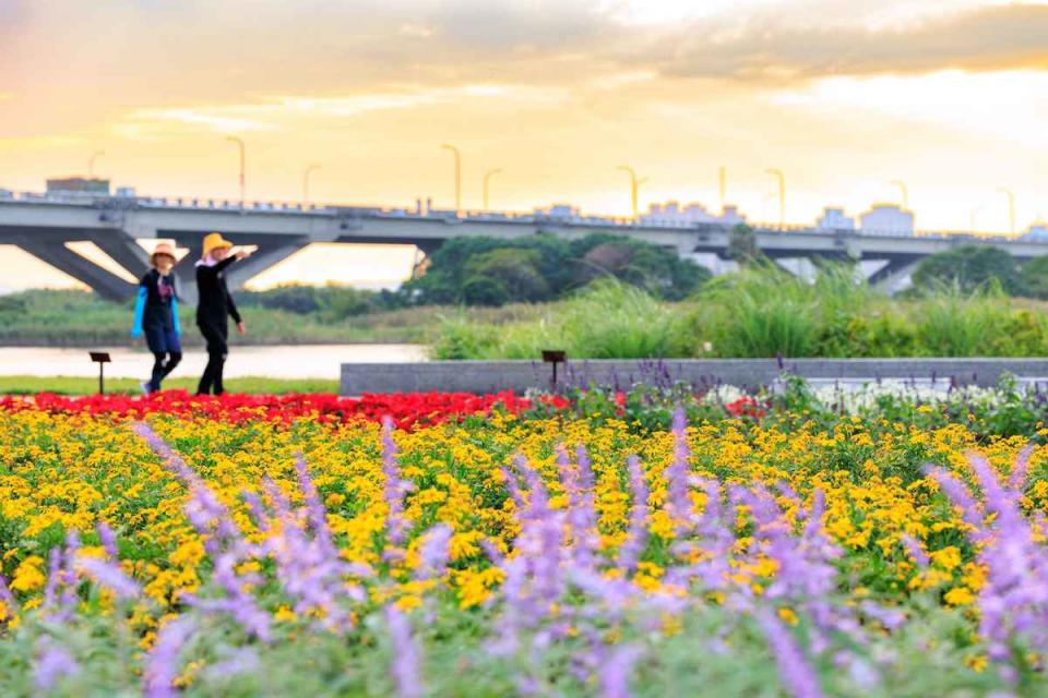 延平河濱花海繽紛（圖片來源：台北市水利處）