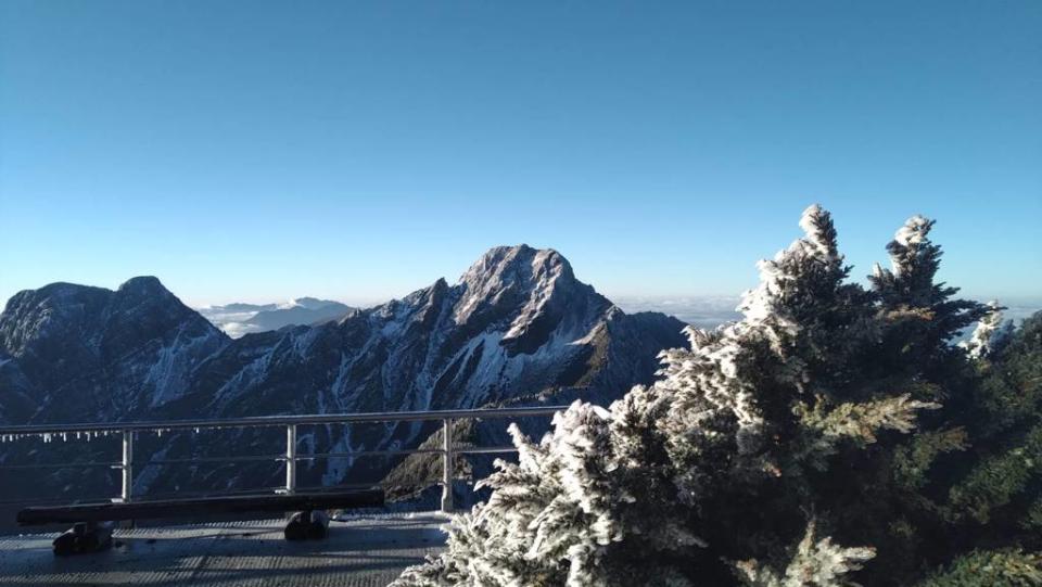 今玉山下雪，樹結冰。(中央氣象署提供)