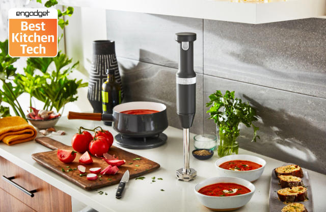 Does this TikTok immersion hand blender live up to the hype?