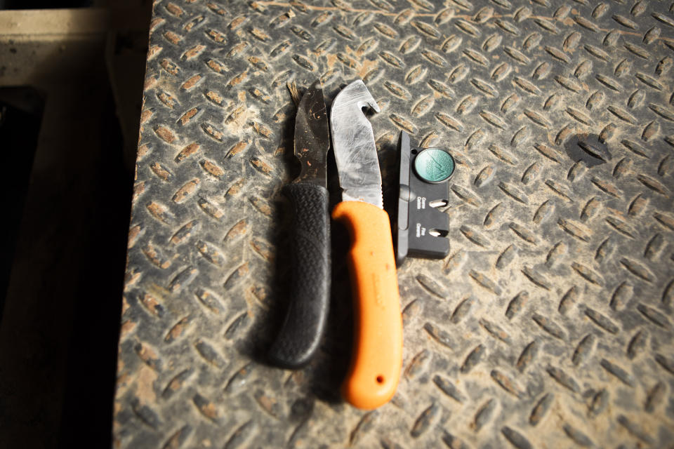 Knives and a sharpener sit on the bed of a truck at the Wolakota Buffalo Range near Spring Creek, S.D., on Friday, Oct. 14, 2022. The knives were used to butcher a buffalo harvested. (AP Photo/Toby Brusseau)