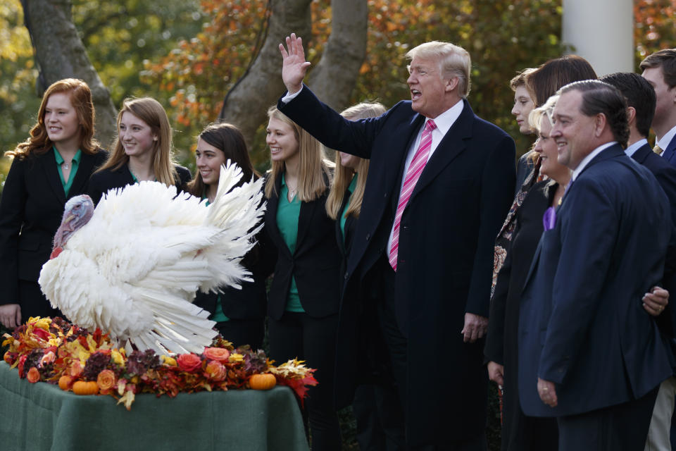 <p>President Donald Trump waves during the National Thanksgiving Turkey Pardoning Ceremony with Drumstick the turkey in the Rose Garden of the White House, Tuesday, Nov. 21, 2017, in Washington. (Photo: Evan Vucci/AP) </p>