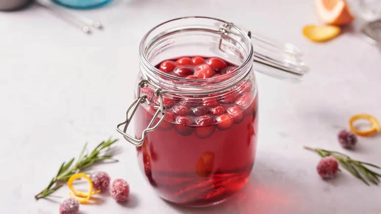 Cranberry-Infused Vodka