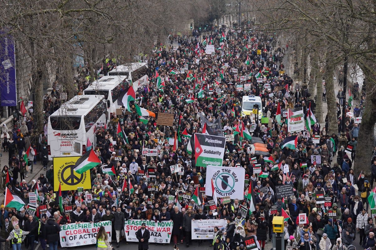 The National March for Palestine took place in central London (PA Wire)