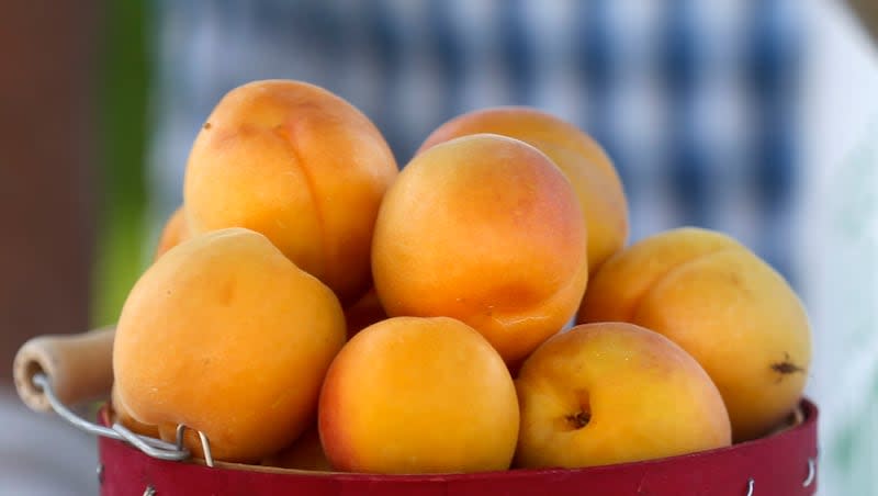 Apricots from Smith Orchards are displayed in Pioneer Park in Salt Lake City on Wednesday, June 10, 2020, during a press conference at the Downtown Farmers Market. A half-cup of dried apricots may contain 755 milligrams of potassium, and apricots are also a good source of iron and antioxidants.