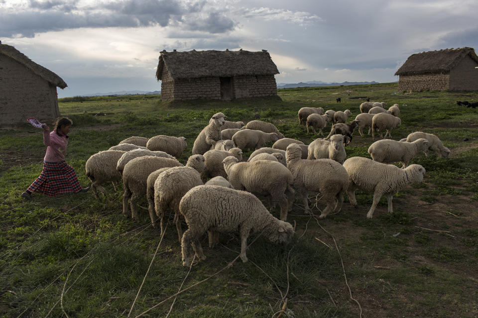 La contaminación del lago Titicaca