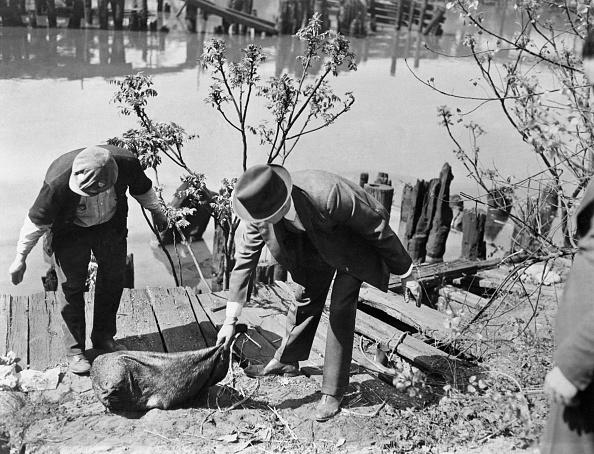 Two men stand by a riverbank, one holding a bag with an unknown object while the other looks on. Trees and water are in the background