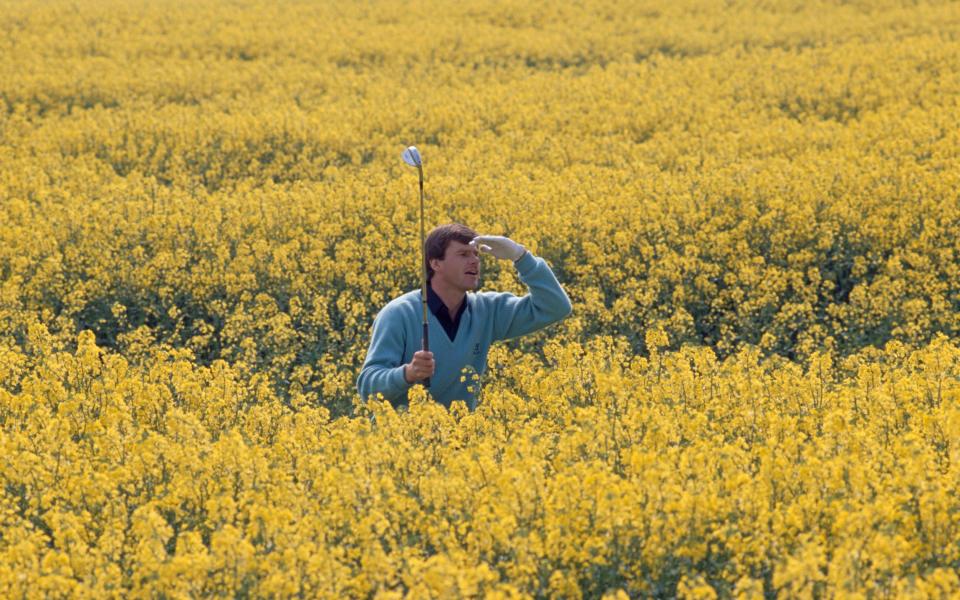 On the wild side: English golfer Nick Faldo, the PGA player of the year in 1990