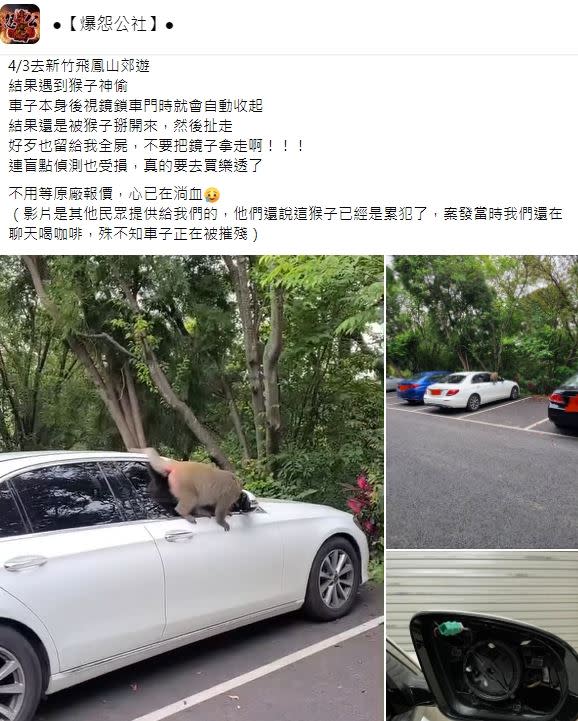 女網友抱怨賓士車的後照鏡鏡片遭猴子偷走。（圖／翻攝自爆怨公社臉書社團）