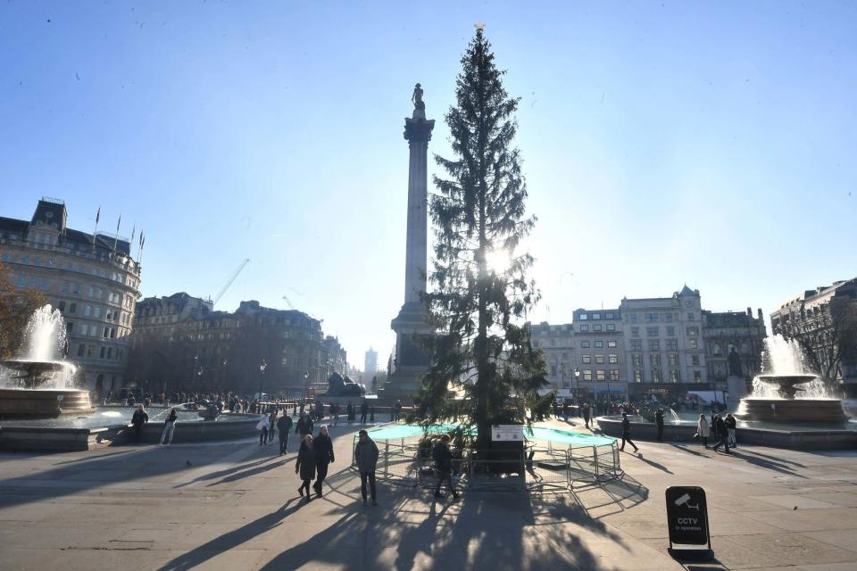 The Christmas tree in Trafalgar Square (PA)