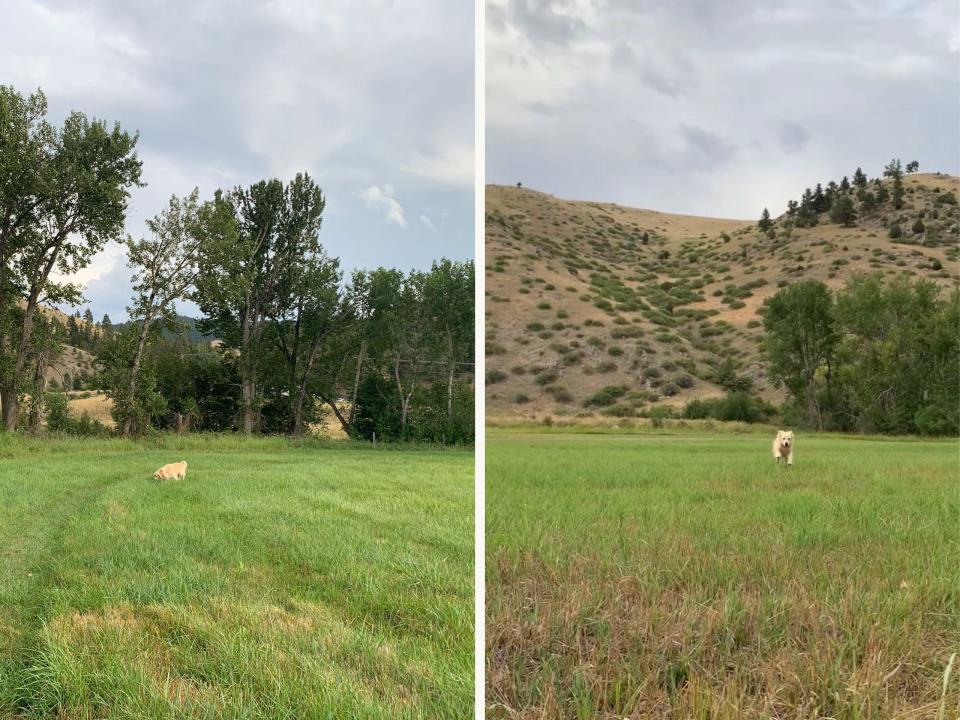 Side-by-side photos show a field and mountains outside the author's house.