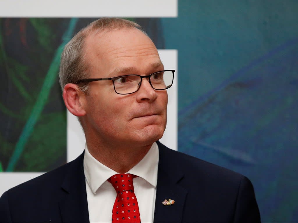 Irish foreign minister Simon Coveney has ordered an inquiry into a champagne party attended by his officials during the country’s first national Covid lockdown (Getty Images)
