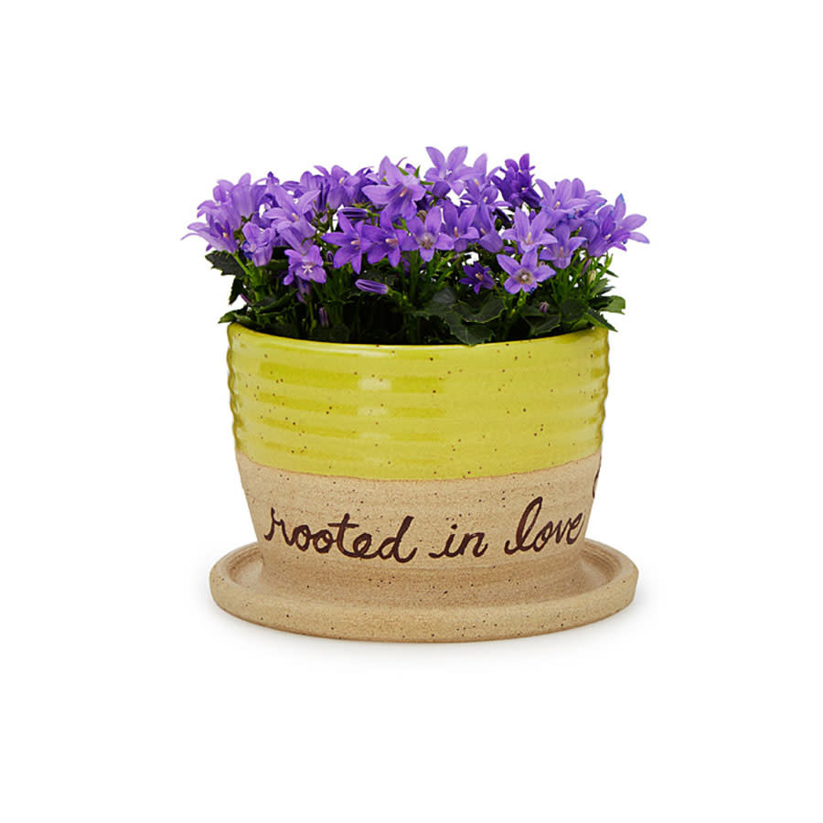 Rooted in Love Pot