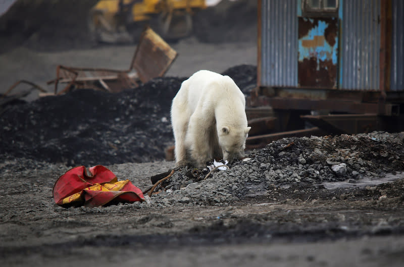 Week in photos: June 21