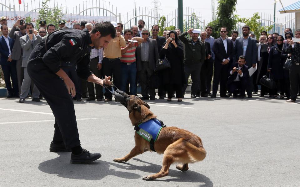 An Iranian policeman displays the bite force of his sniffer dog in eastern Tehran on June 26, 2014 to mark the International Day Against Drug Abuse and Illicit Trafficking. The Iranian security forces seized some 575 tons of drugs between March 2013 and March 2014, the Iranian Interior Minister Abdolreza Rahmani Fazli said. AFP PHOTO/ATTA KENARE        (Photo credit should read ATTA KENARE/AFP/Getty Images)