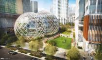 <b>Amazon; Seattle, Wash.</b><br> The domes are meant to be large enough to fit "mature" trees, creating a park-like atmosphere for workers to relax in.