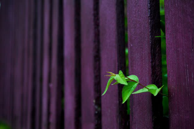 <p>Universal Stopping Point Photography/GETTY IMAGES</p>