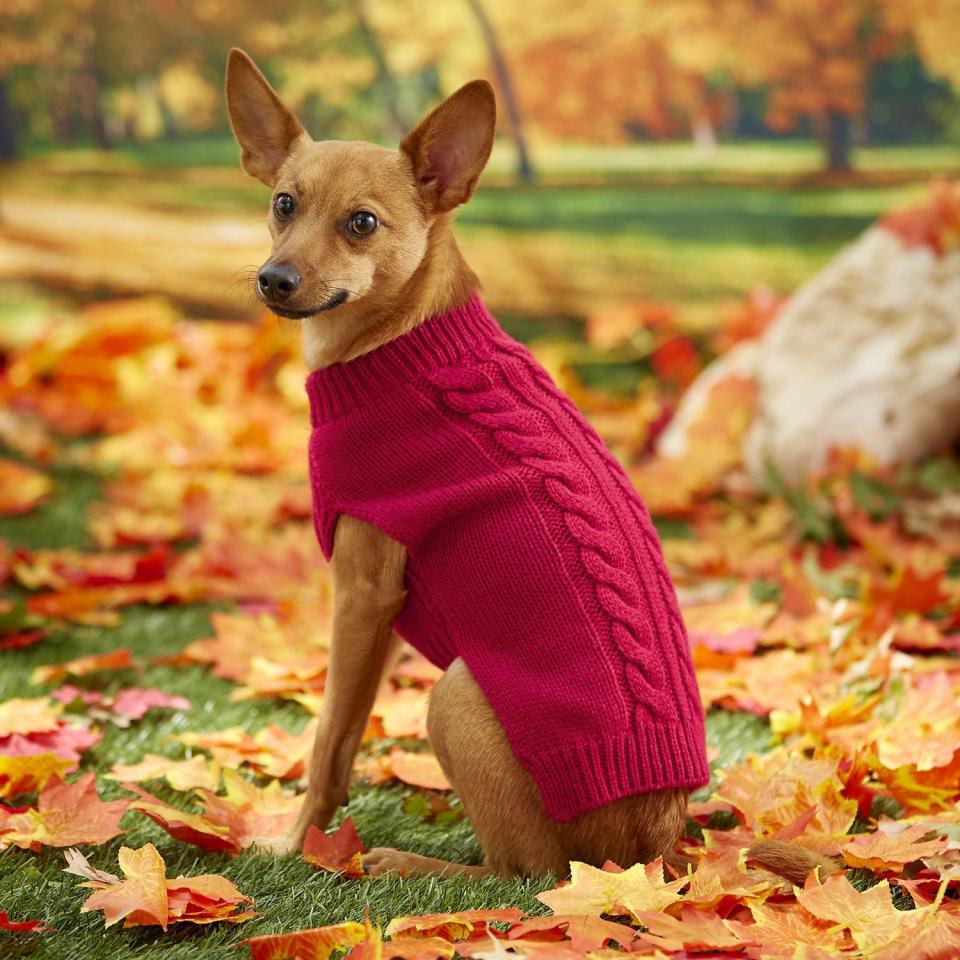 4) Frisco Dog & Cat Cable Knitted Sweater