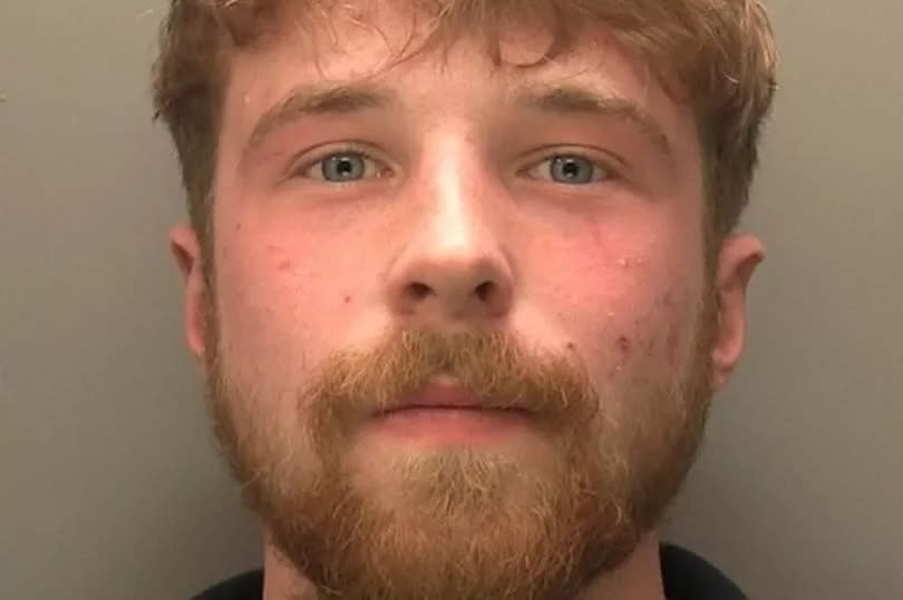 Photo shows Aidan Lee in a police mugshot who has been jailed for six years