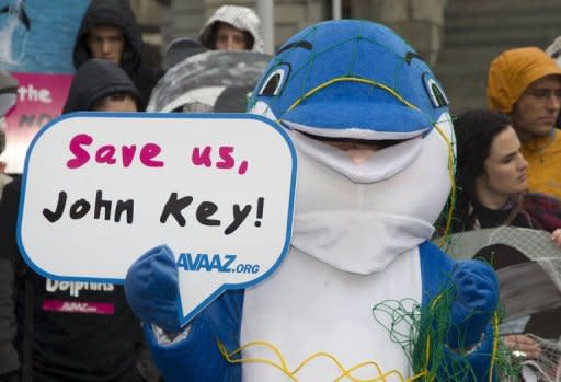 Campaigners dressed as dolphins urge the New Zealand Prime Minister to protect the critically endangered Maui's dolphin, in front of Parliament House in Wellington on May 2, 2012. A scientific body urged Mexico and New Zealand to take immediate action to prevent the extinction of small marine mammals that are being killed by gillnets set by the fishing industry